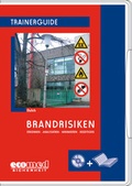 Cover: Brandrisiken - ecomed Storck