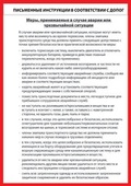 Bild: Schriftliche Weisungen gemäß ADR 2011, russisch - ecomed Storck