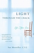 Cover: Light Through the Crack - Penguin Random House LLC
