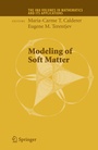 Cover: Modeling of Soft Matter - Springer