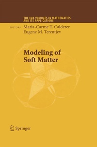 Enlarge image Cover: Modeling of Soft Matter - Springer