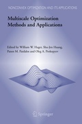 Cover: Multiscale Optimization Methods and Applications - Springer