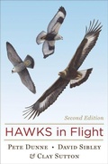 Cover: Hawks in Flight - Houghton Mifflin