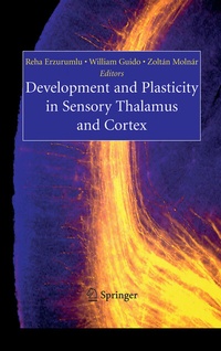 Abbildung von: Development and Plasticity in Sensory Thalamus and Cortex - Springer