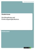 Cover: Hochbegabung und F&ouml;rderungsm&ouml;glichkeiten - GRIN Verlag