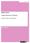 Cover: Vulkanausbr&uuml;che auf Island - GRIN Verlag