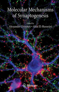 Abbildung von: Molecular Mechanisms of Synaptogenesis - Springer