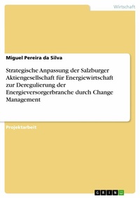 Abbildung von: Strategische Anpassung der Salzburger Aktiengesellschaft für Energiewirtschaft zur Deregulierung der Energieversorgerbranche durch Change Management - GRIN Verlag