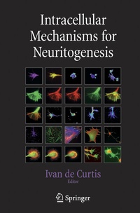 Abbildung von: Intracellular Mechanisms for Neuritogenesis - Springer