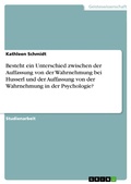 Cover: Besteht ein Unterschied zwischen der Auffassung von der Wahrnehmung bei Husserl und der Auffassung von der Wahrnehmung in der Psychologie? - GRIN Verlag