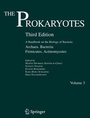 Cover: The Prokaryotes - Springer