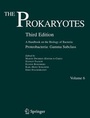 Cover: The Prokaryotes - Springer