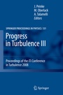 Bild: Progress in Turbulence III - Springer