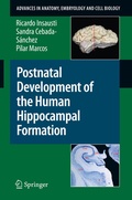 Bild: Postnatal Development of the Human Hippocampal Formation - Springer