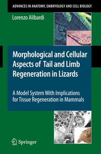 Abbildung von: Morphological and Cellular Aspects of Tail and Limb Regeneration in Lizards - Springer
