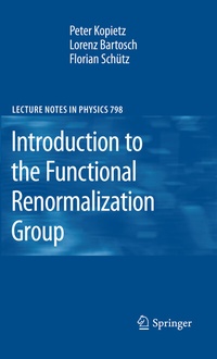 Abbildung von: Introduction to the Functional Renormalization Group - Springer