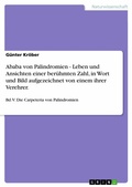 Cover: Ababa von Palindromien - Leben und Ansichten einer ber&uuml;hmten Zahl, in Wort und Bild aufgezeichnet von einem ihrer Verehrer. - GRIN Verlag