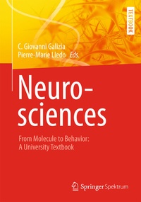 Abbildung von: Neurosciences - From Molecule to Behavior: a university textbook - Springer Spektrum