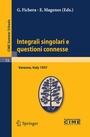 Cover: Integrali singolari e questioni connesse - Springer