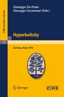 Cover: Hyperbolicity - Springer