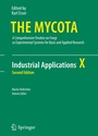 Cover: Industrial Applications - Springer