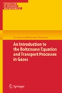Cover: An Introduction to the Boltzmann Equation and Transport Processes in Gases - Springer
