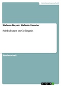 Cover: Subkulturen im Gef&auml;ngnis - GRIN Verlag