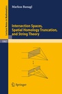 Cover: Intersection Spaces, Spatial Homology Truncation, and String Theory - Springer