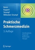 Cover: Praktische Schmerzmedizin - Springer