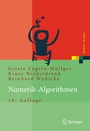 Cover: Numerik-Algorithmen - Springer