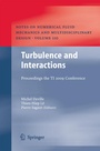 Cover: Turbulence and Interactions - Springer