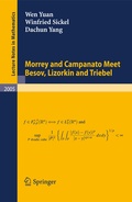 Cover: Morrey and Campanato Meet Besov, Lizorkin and Triebel - Springer