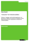 Cover: "Schaulust" bei Verkehrsunf&auml;llen - GRIN Verlag