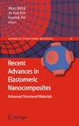 Bild: Recent Advances in Elastomeric Nanocomposites - Springer