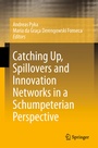 Cover: Catching Up, Spillovers and Innovation Networks in a Schumpeterian Perspective - Springer