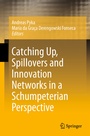 Cover: Catching Up, Spillovers and Innovation Networks in a Schumpeterian Perspective - Springer