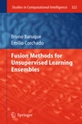 Cover: Fusion Methods for Unsupervised Learning Ensembles - Springer