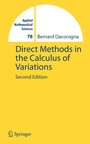 Cover: Direct Methods in the Calculus of Variations - Springer