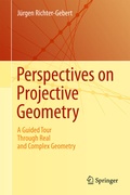 Bild: Perspectives on Projective Geometry - Springer