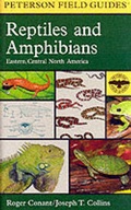 Cover: Field Guide to Reptiles and Amphibians - Houghton Mifflin