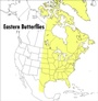 Cover: Peterson Field Guide To Eastern Butterflies, A - Houghton Mifflin