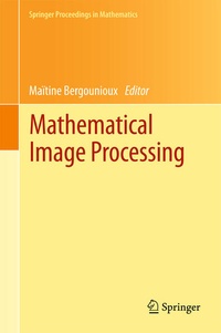 Enlarge image Cover: Mathematical Image Processing - Springer
