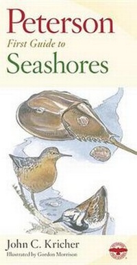 Enlarge image Cover: Peterson First Guide to Seashores - Houghton Mifflin (Trade)