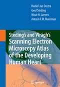 Bild: Steding's and Vir&aacute;gh's Scanning Electron Microscopy Atlas of the Developing Human Heart - Springer