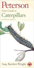 Bild: Peterson First Guide to Caterpillars of North America - Houghton Mifflin (Trade)