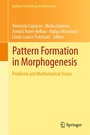 Cover: Pattern Formation in Morphogenesis - Springer