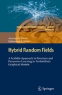 Cover: Hybrid Random Fields - Springer