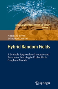 Enlarge image Cover: Hybrid Random Fields - Springer