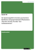 Cover: Im Spannungsfeld zwischen poetischem Realismus und gespenstischen Phantasmen. Theodor Storms Novelle "Der Schimmelreiter" - GRIN Verlag