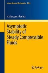 Bild vergrößern Bild: Asymptotic Stability of Steady Compressible Fluids - Springer